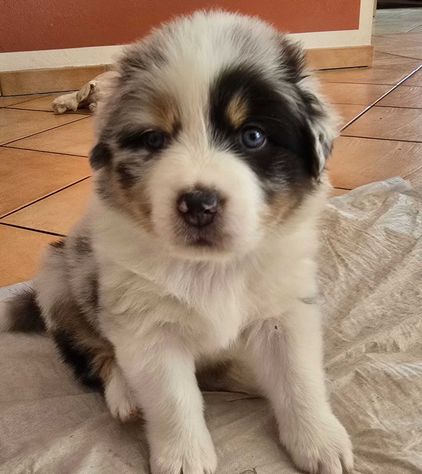 Kira