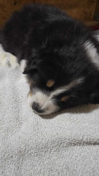 Benjy