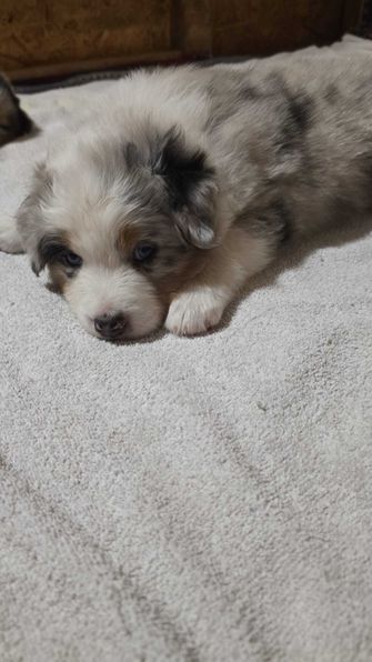 Ruby