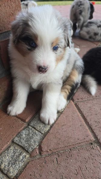 Ruby